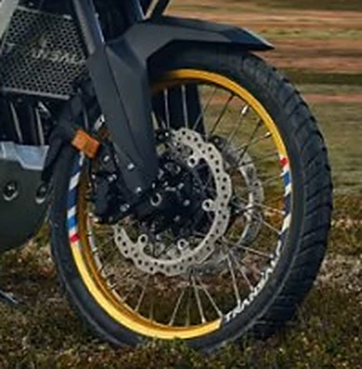 310 mm dual front discs